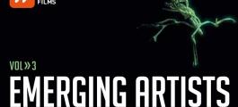 emerging artists2